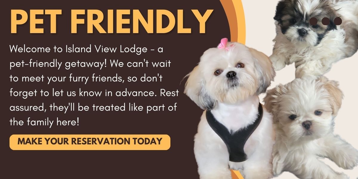 Pet Friendly Minnesota Resort